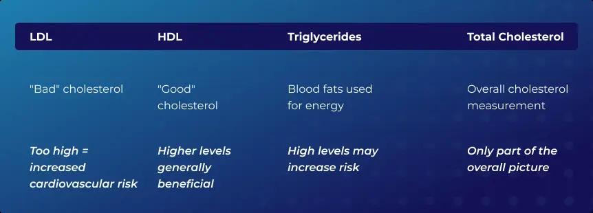Different Types of Cholesterol