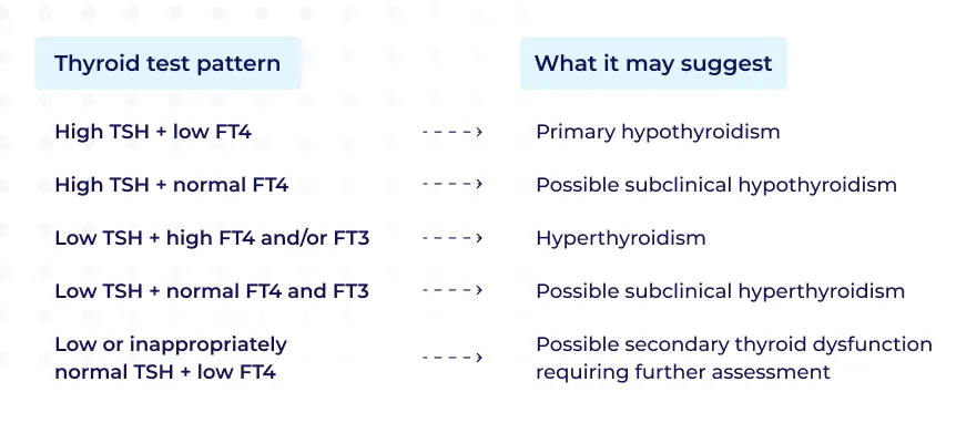 How Are TSH, T4 and T3 Results Interpreted Together